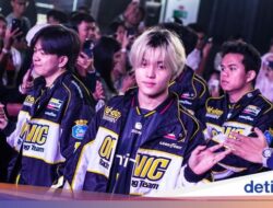 Daftar Kampiun MPL ID Untuk Season 1-15, Onic Raih Gelar Terbanyak