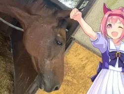 Kuda Haru Urara Dikabarkan Telah Tutup Usia, Fans Uma Musume Berkabung